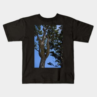 Gnarled Pohutukawa Trees. Kids T-Shirt